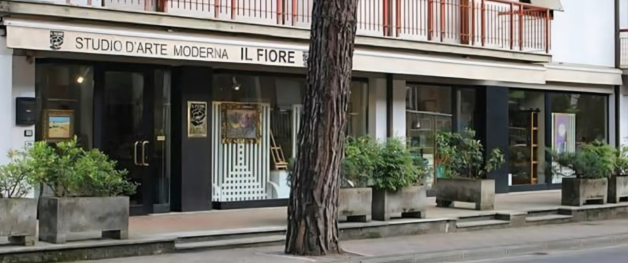 Elenco delle mostre